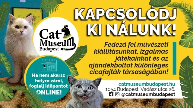 Cat Museum